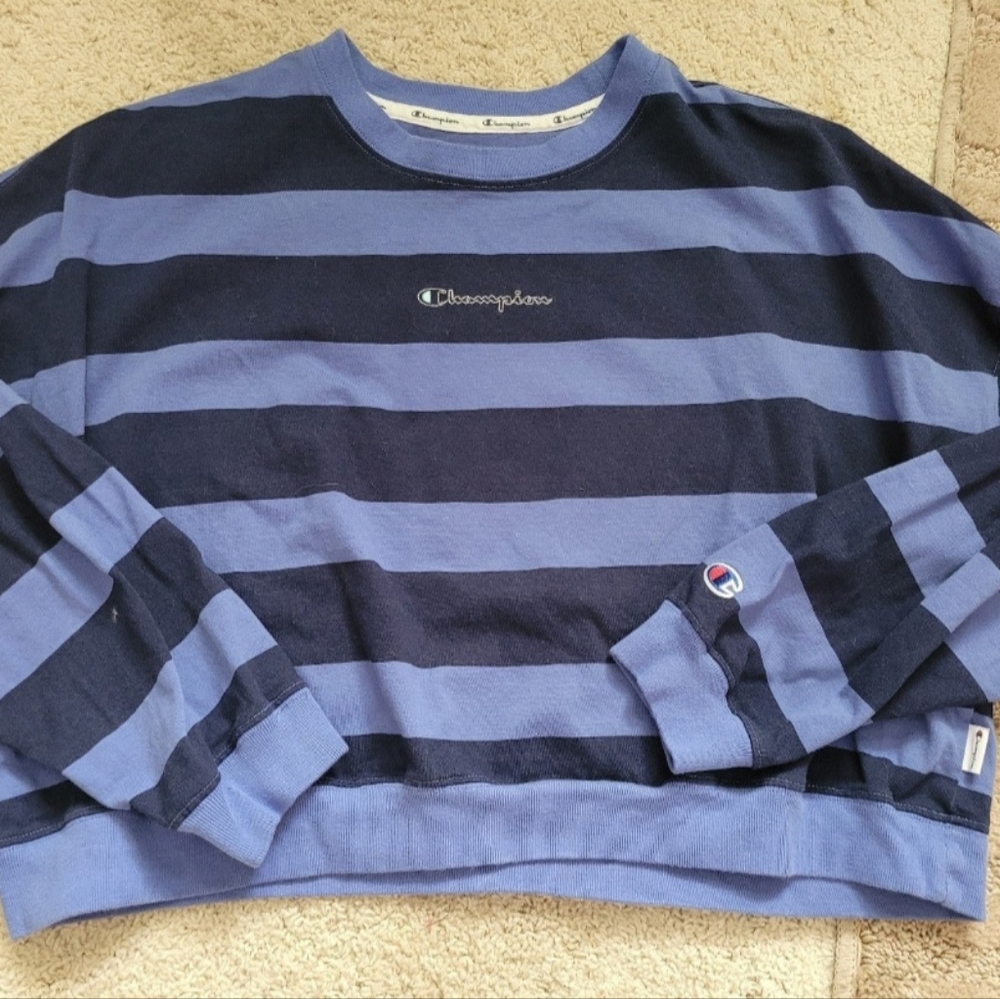 Champion cropped sweatshirt